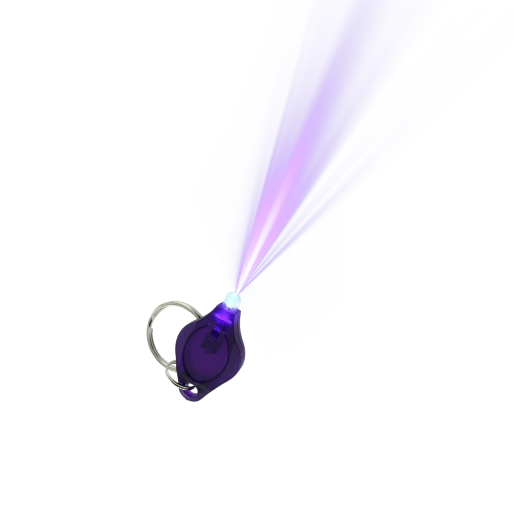 VANISHING POINT ULTIMATE EXPERIENCE (LIMITED TO 100)