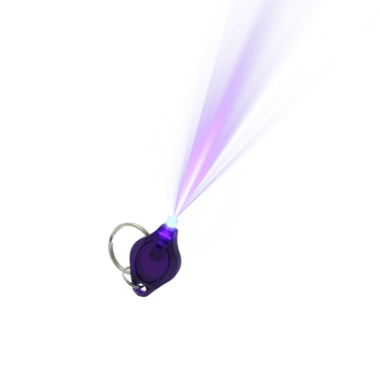 VANISHING POINT ULTIMATE EXPERIENCE (LIMITED TO 100)